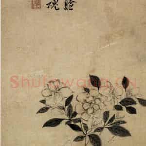 明代 陈淳《栀子花图》国画花鸟作品图片鉴赏