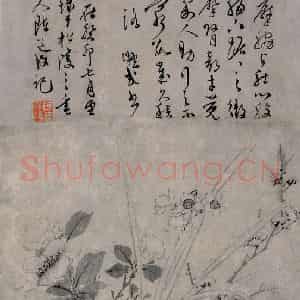 明代 陈淳《书画图》国画花鸟作品图片鉴赏