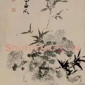 明代 陈淳《竹石菊花图》国画花鸟作品图片鉴赏