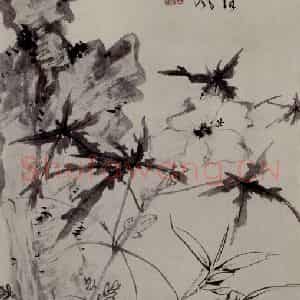 明代 陈淳《葵石图》国画花鸟作品图片鉴赏