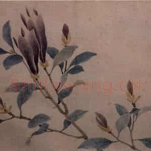 沈周《墨莱辛夷图》国画花鸟写意作品图片鉴赏