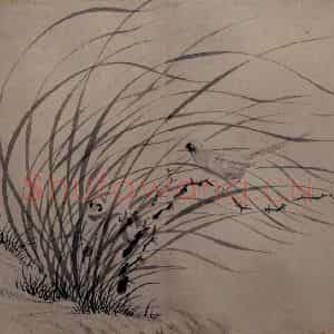 文征明《杂画四段图》国画花鸟写意作品图片鉴赏
