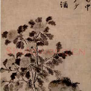 唐寅《菊花图》国画花鸟写意作品图片鉴赏