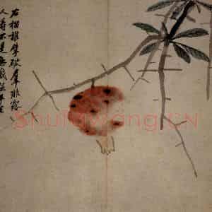 沈周《卧游图》国画花鸟写意作品图片鉴赏