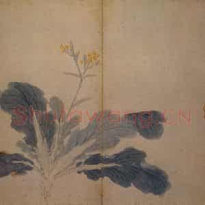 沈周《卧游图》国画花鸟写意作品图片鉴赏