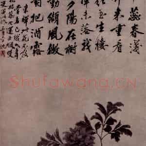 沈周《牡丹图》国画花鸟写意作品图片鉴赏