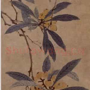 沈周《枇杷图》国画花鸟写意作品图片鉴赏