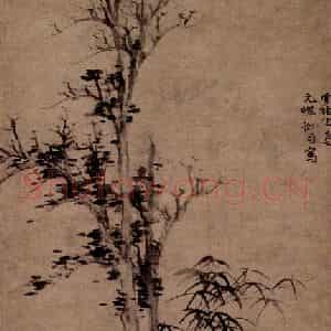 元朝 倪瓒《丛篁古木图》国画花鸟作品图片鉴赏