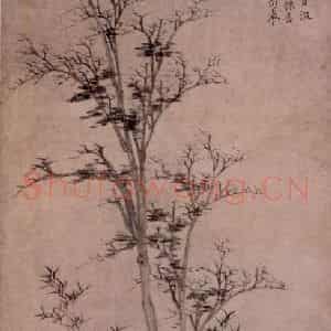 元朝 倪瓒《竹石乔柯图》国画花鸟作品图片鉴赏