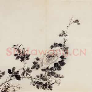 清代 高凤翰《花卉册十开》国画花鸟作品图片鉴赏