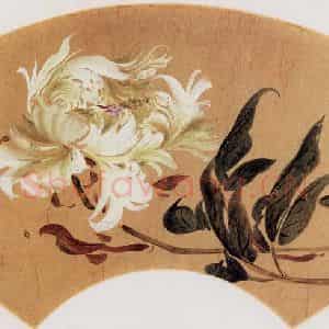 清代 高凤翰《花卉》国画花鸟作品图片鉴赏