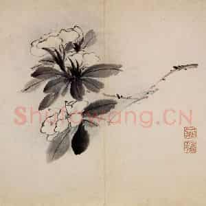 清代 高凤翰《花卉册十开》国画花鸟作品图片鉴赏