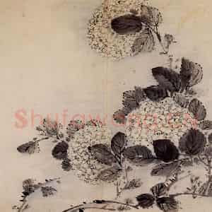 清代 高凤翰《花卉册十开》国画花鸟作品图片鉴赏