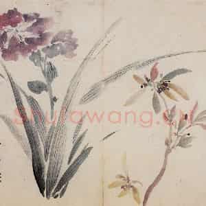 清代 高凤翰《花卉册十开》国画花鸟作品图片鉴赏