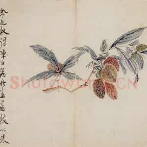 清代 高凤翰《花卉册十开》国画花鸟作品图片鉴赏