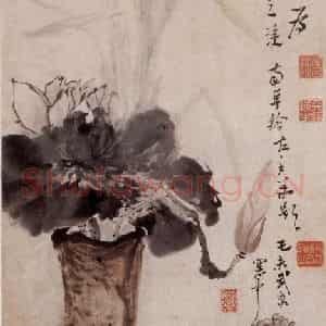 清代 高凤翰《莲浦清供图》国画花鸟作品图片鉴赏