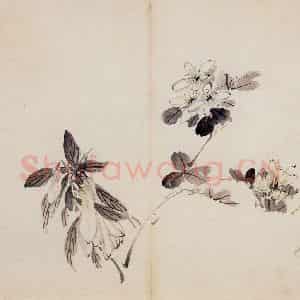 清代 高凤翰《花卉册十开》国画花鸟作品图片鉴赏
