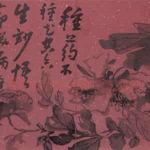 清代 高凤翰《花卉册十二开》国画花鸟作品图片鉴赏