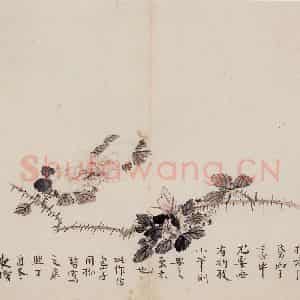 清代 高凤翰《花卉册十开》国画花鸟作品图片鉴赏