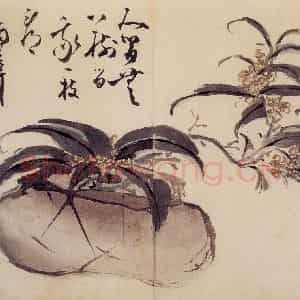 清代 高凤翰《花卉册》国画花鸟作品图片鉴赏