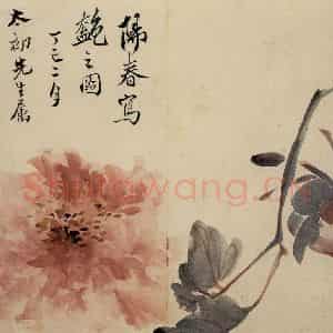 清代 高凤翰《花卉册》国画花鸟作品图片鉴赏