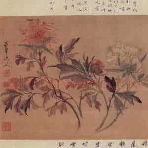 清代 高凤翰《牡丹图》国画花鸟作品图片鉴赏