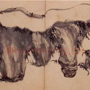 清代 高凤翰《怪石图》国画花鸟作品图片鉴赏