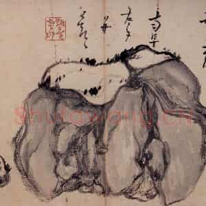 清代 高凤翰《怪石图》国画花鸟作品图片鉴赏