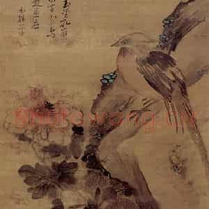 清代 高凤翰《牡丹锦鸡图》国画花鸟作品图片鉴赏