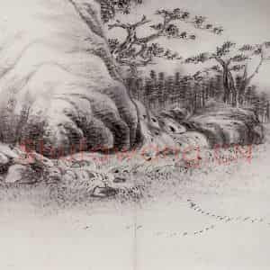 清代 高凤翰《山水花卉册》国画山水作品图片鉴赏