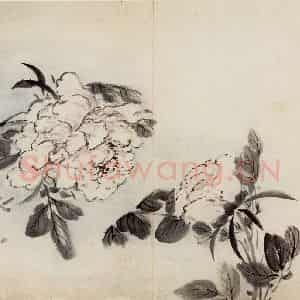 清代 高凤翰《花卉册十开》国画花鸟作品图片鉴赏