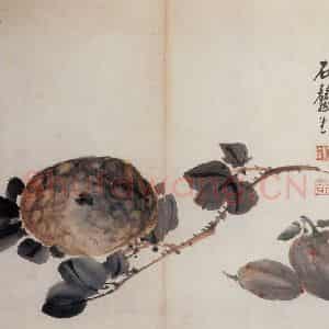 清代 高凤翰《花卉册》国画花鸟作品图片鉴赏