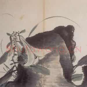 清代 高凤翰《花卉册》国画花鸟作品图片鉴赏
