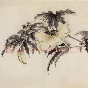 清代 高凤翰《花卉册十开》国画花鸟作品图片鉴赏