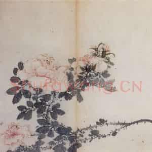 清代 高凤翰《花卉册》国画花鸟作品图片鉴赏