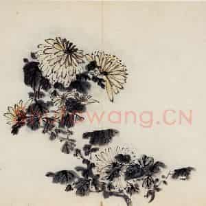 清代 高凤翰《花卉册十开》国画花鸟作品图片鉴赏