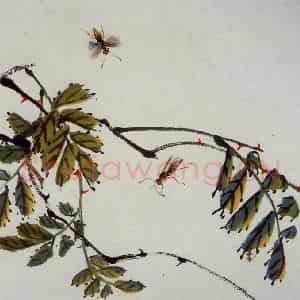 民国 齐璜《草虫》国画花鸟作品图片鉴赏