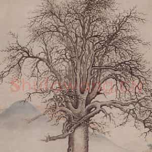 明代 项圣谟《大树风号图轴》国画作品图片鉴赏