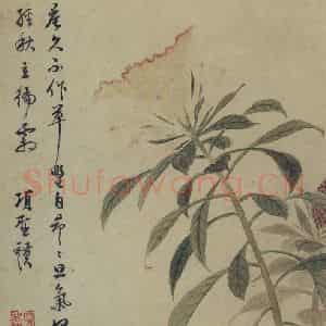 明代 项圣谟《山水花卉图册》国画花鸟作品图片鉴赏