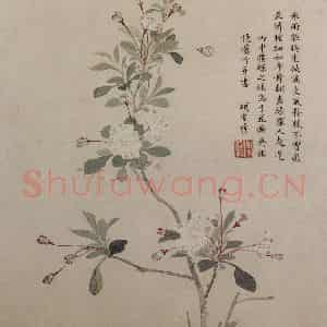 明代 项圣谟《花卉图册》国画花鸟作品图片鉴赏