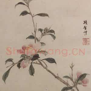 明代 项圣谟《花卉图册》国画花鸟作品图片鉴赏