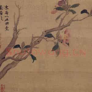 明代 项圣谟《花果图册》国画花鸟作品图片鉴赏