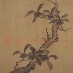 明代 项圣谟《花果图册》国画花鸟作品图片鉴赏