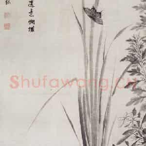 明代 项圣谟《蒲蝶图轴》国画花鸟作品图片鉴赏