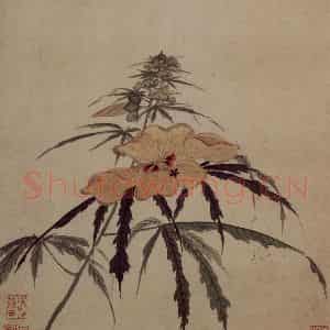 明代 项圣谟《易庵妙绘图册》国画花鸟作品图片鉴赏