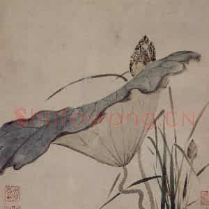 明代 项圣谟《易庵妙绘图册》国画花鸟作品图片鉴赏