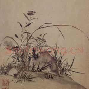 明代 项圣谟《易庵妙绘图册》国画花鸟作品图片鉴赏