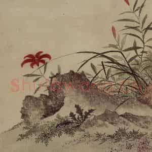 明代 项圣谟《易庵妙绘图册》国画花鸟作品图片鉴赏