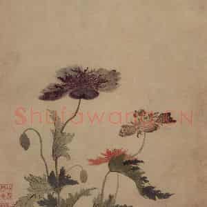 明代 项圣谟《易庵妙绘图册》国画花鸟作品图片鉴赏