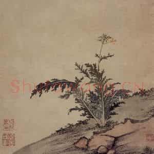 明代 项圣谟《易庵妙绘图册》国画花鸟作品图片鉴赏